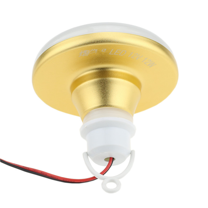 Lâmpada LED à prova d'água 12V - Outdoor Lighting Vendors avaliação e preço