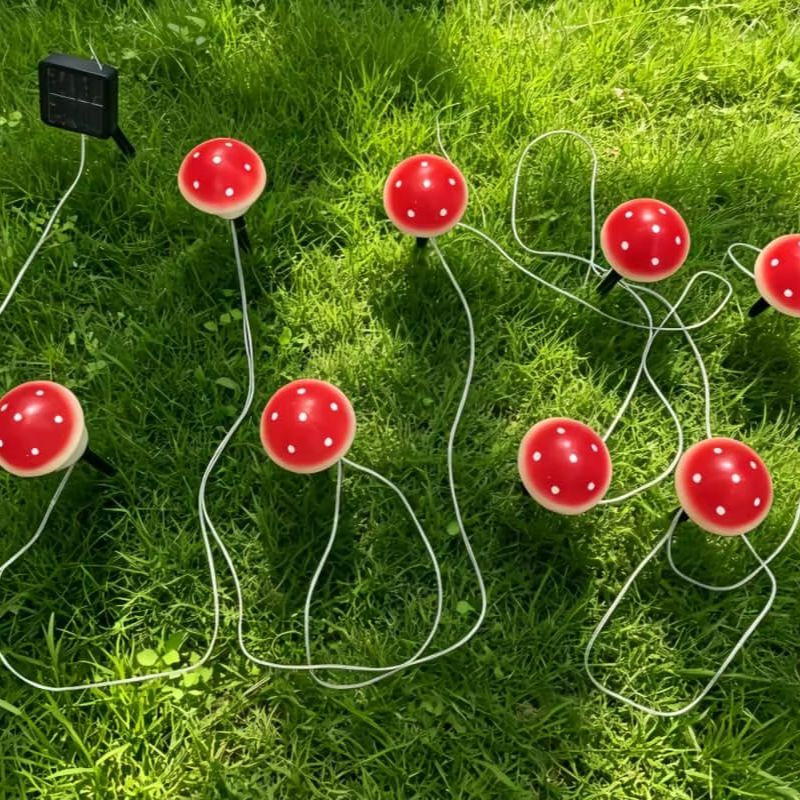 Luzes de Cordão em Forma de Co - Outdoor Lighting Switch avaliação e preço